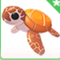Adopt Me